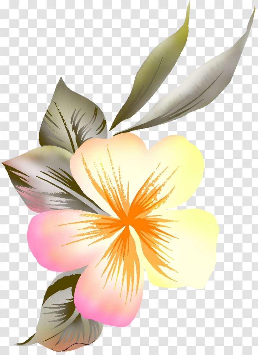 Greeting Drawing Clip Art - Flowering Plant - Handpaint Flowers Transparent PNG