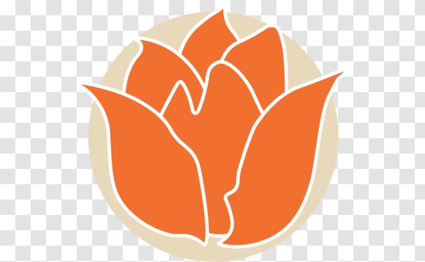 Commodity Fruit Clip Art - Orange - Floral Arrangements Transparent PNG