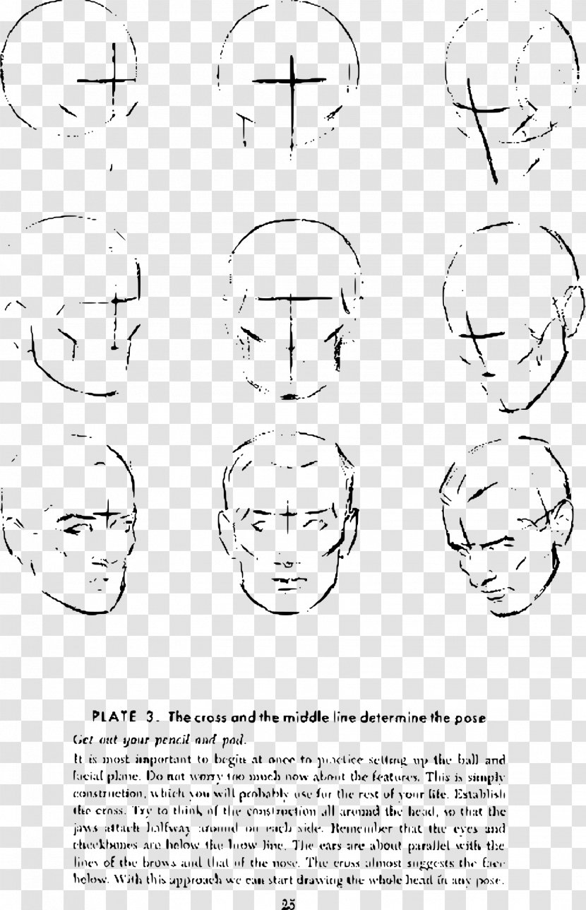 Drawing The Head And Hands Anatomy Sketch - Flower - Nose Transparent PNG