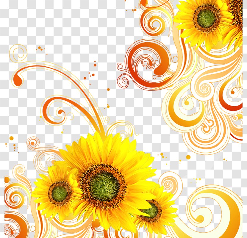 Color Lace - Yellow - Chrysanthemum Transparent PNG