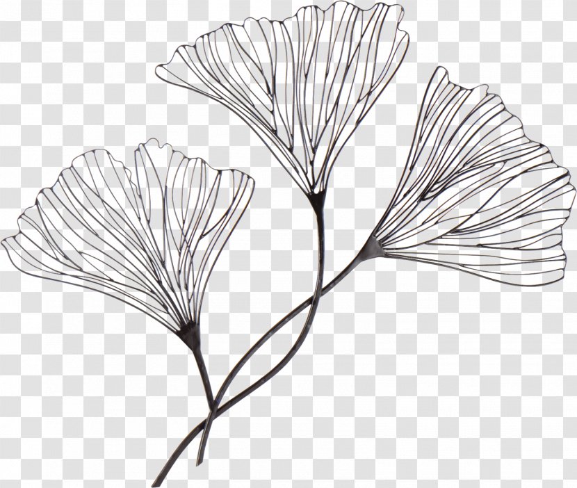 Drawing Wire Ginkgo Biloba Art - Tree - Continental Decoration Transparent PNG
