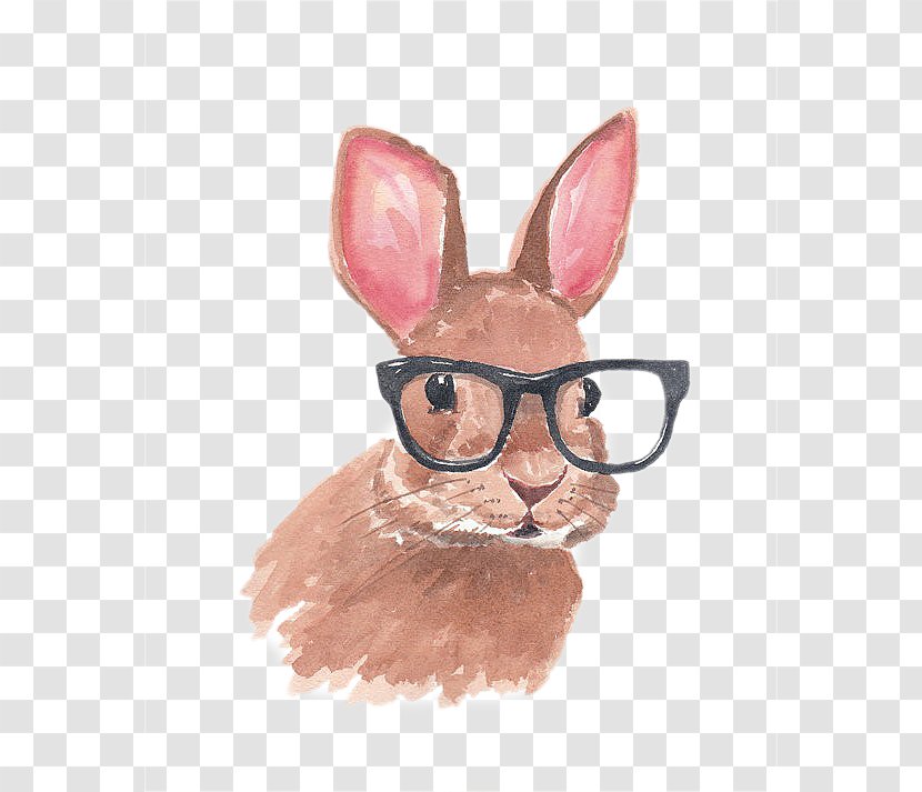 Lionhead Rabbit Easter Bunny Glasses Drawing - Cuteness - Hand-painted With Transparent PNG