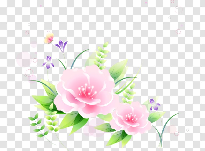 Garden Roses Japanese Camellia Sasanqua Floral Design Desktop Wallpaper - Plant - Peony Transparent PNG