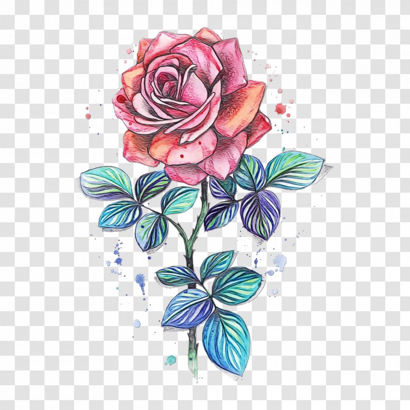 Garden Roses Abziehtattoo Sketch Floral Design - Rose - Flowering Plant Transparent PNG