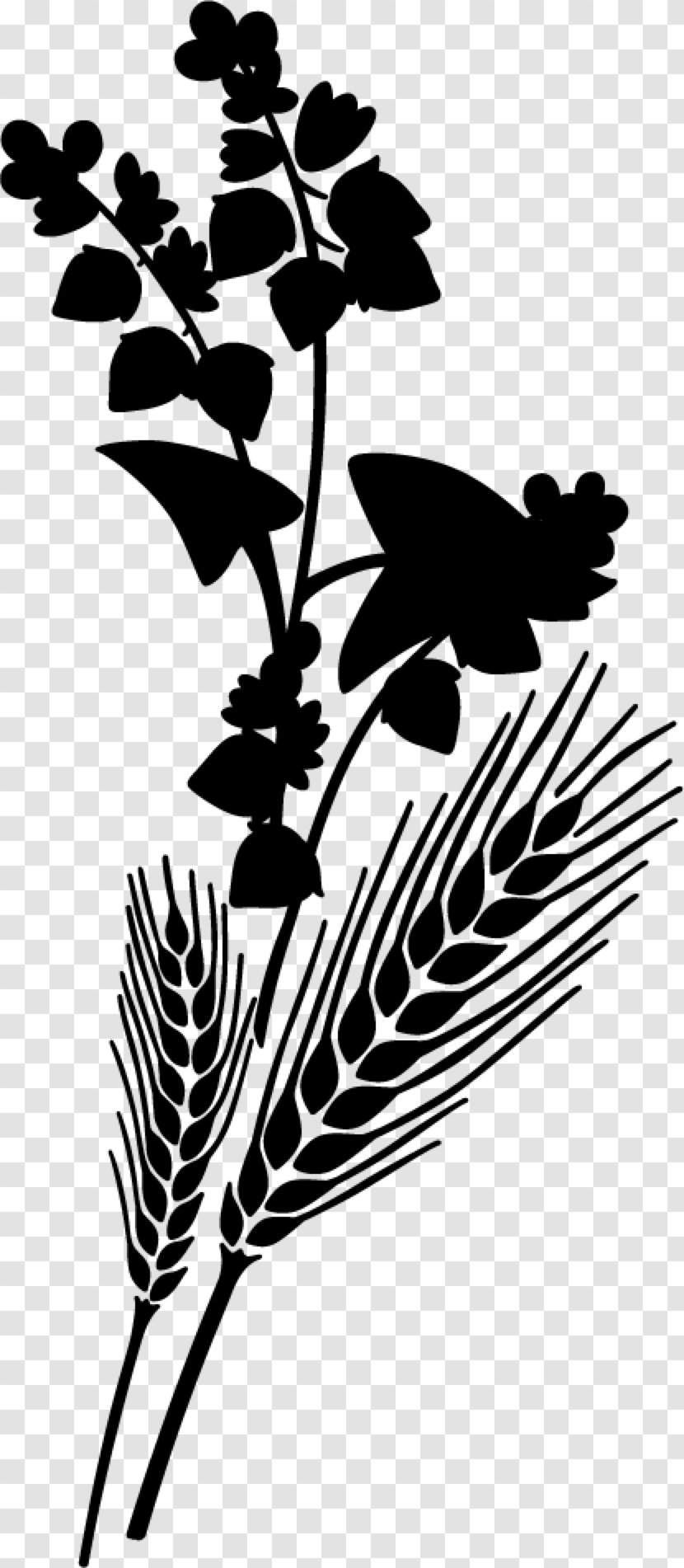 Graphics Plant Stem Illustration Flower Leaf - Stencil - Monochrome Photography Transparent PNG