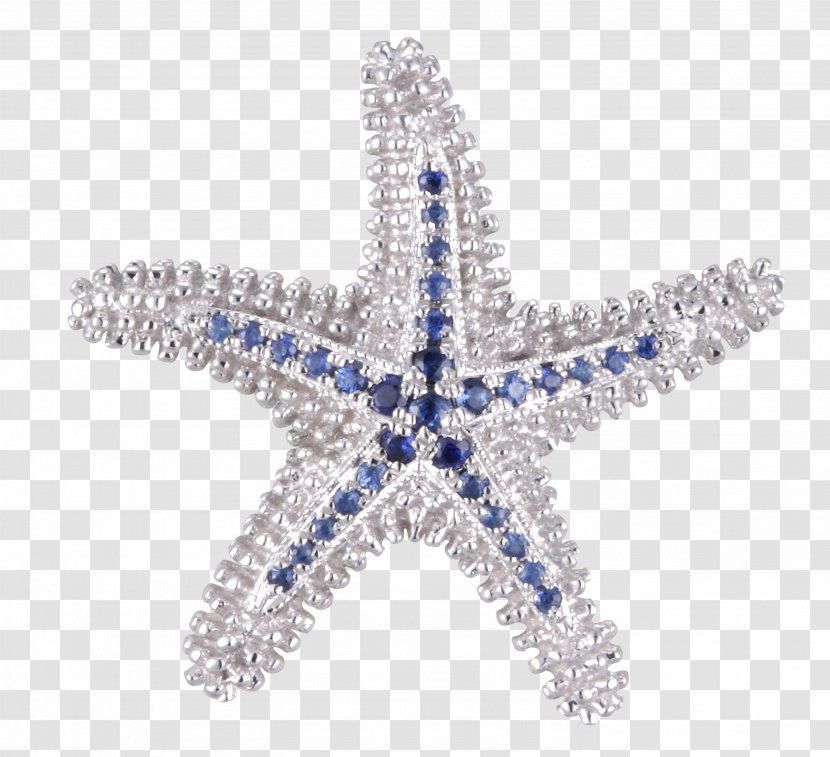 Jewellery Banco De Imagens Bracelet Beach - Ornament - Starfish Transparent PNG