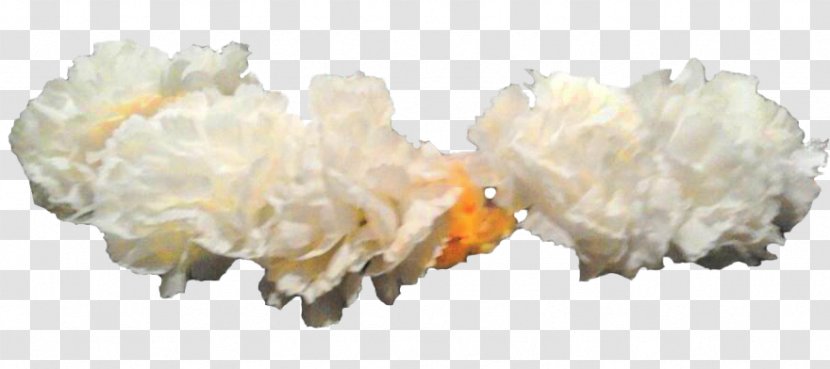 Crown Wreath Flower White - Gimp - Head Band Transparent PNG