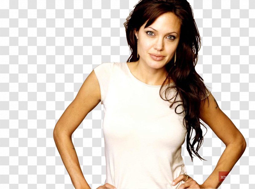 Angelina Jolie Lara Croft: Tomb Raider Desktop Wallpaper Actor - Flower Transparent PNG