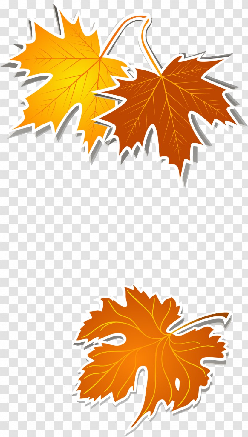 Leaf Yellow Clip Art - Autumn Leaves Design Elements Transparent PNG