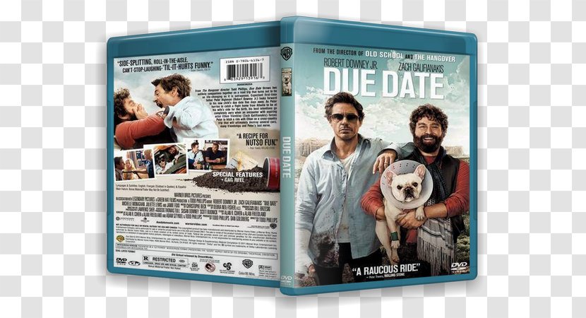 Ethan Chase Peter Highman Film Actor Comedy - Due Date Transparent PNG