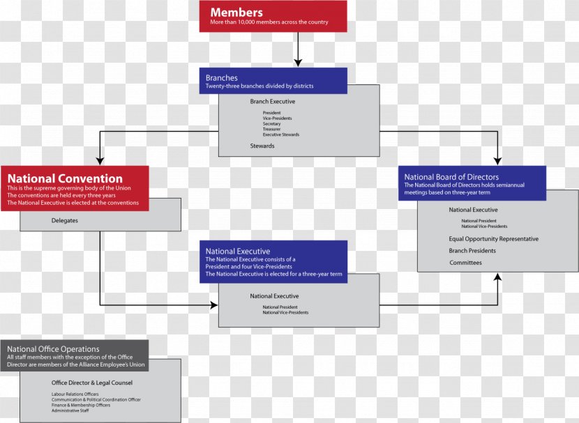 Organizational Chart Structure Business - Diagram - Organization Transparent PNG