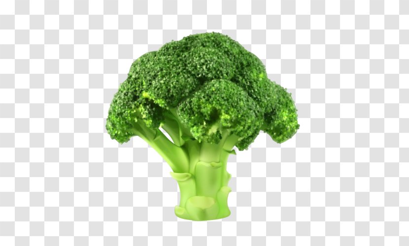Broccoli Vegetable Clip Art - Tree Transparent PNG