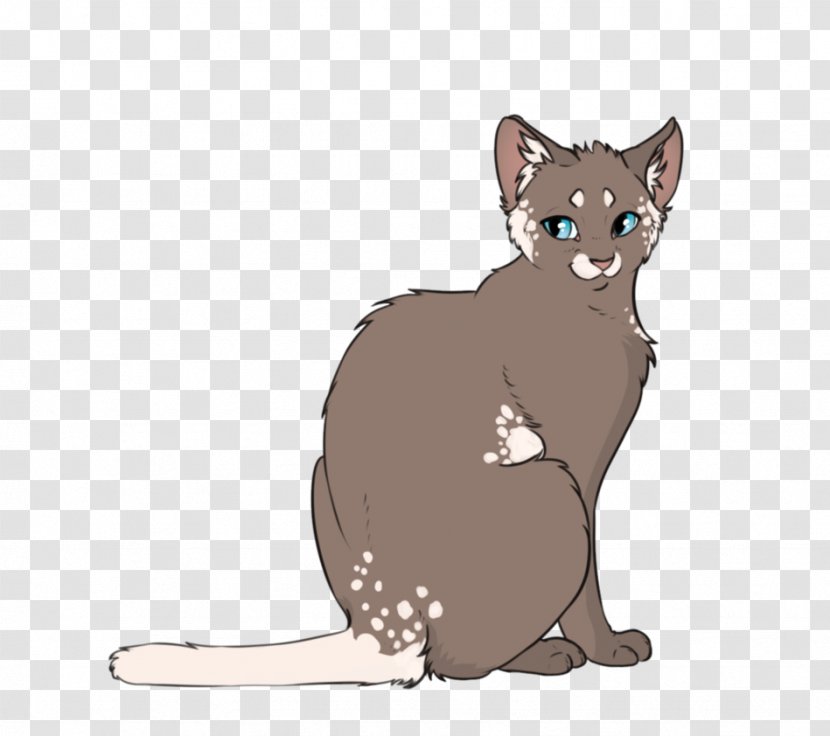 Havana Brown Kitten Animal Mammal Carnivora - Tail - Fawn Transparent PNG