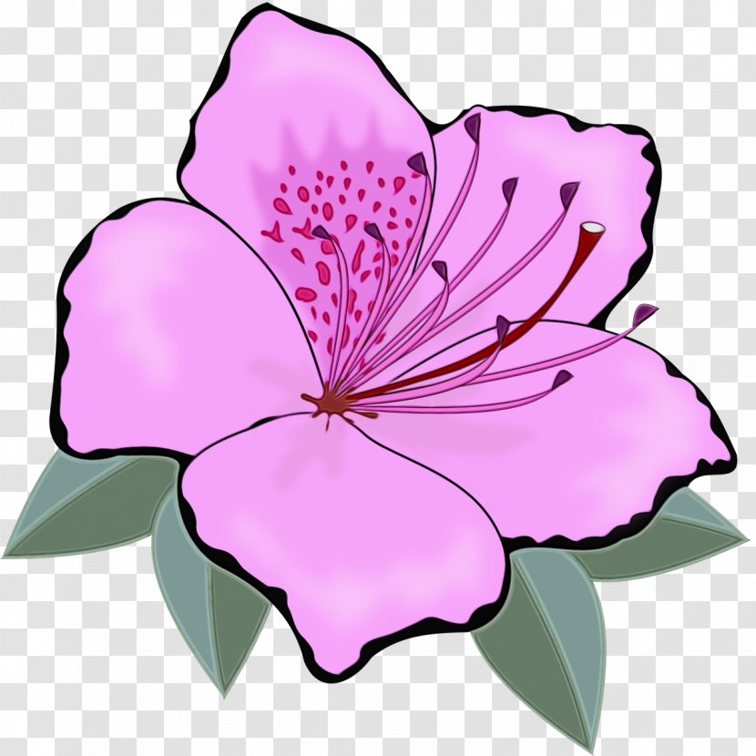 Floral Design - Project - Azalea Wildflower Transparent PNG