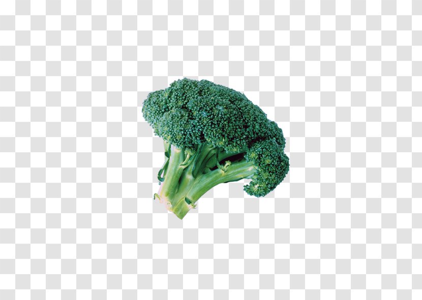 Broccoli Extract Cauliflower Cabbage Vegetable - Green Transparent PNG