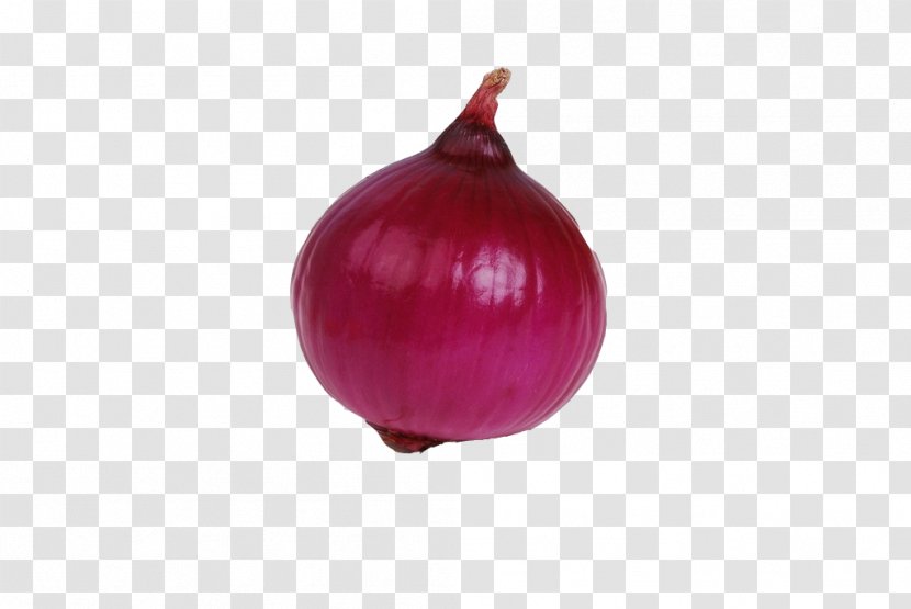 Red Onion Free Vegetable - Tomato - Purple Transparent PNG