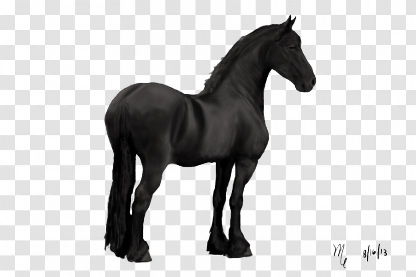 Friesian Horse American Quarter Stallion Mustang Black - Riding - Dark Transparent PNG