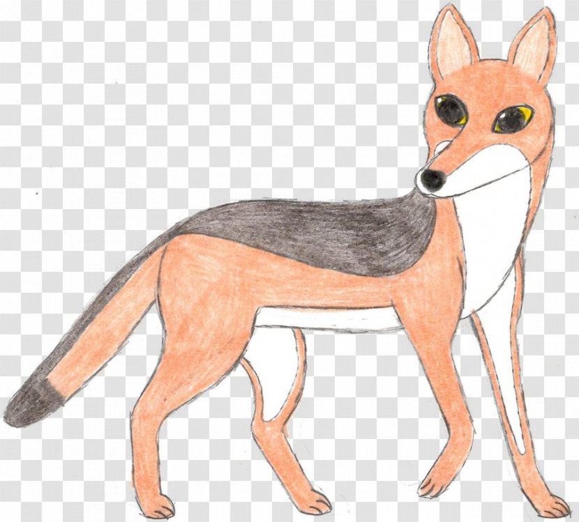 Red Fox Black-backed Jackal Dog Canidae - Like Mammal - Hyena Transparent PNG