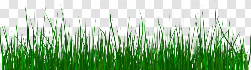Green Grass Clip Art - Green, Fresh Transparent PNG