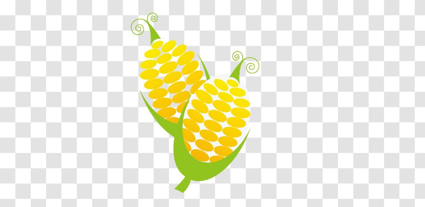 Euclidean Vector Vegetable Fruit Food - Maize - Corn Transparent PNG