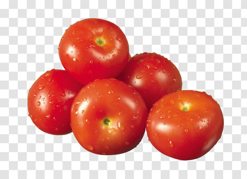 Organic Food Tomato Vegetable Ketchup Fruit - Fresh Ocean Persimmon Transparent PNG