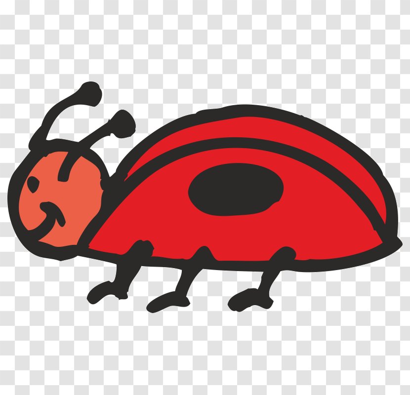 English Vocabulary Language Arts Learning - Ladybird - Insect Transparent PNG
