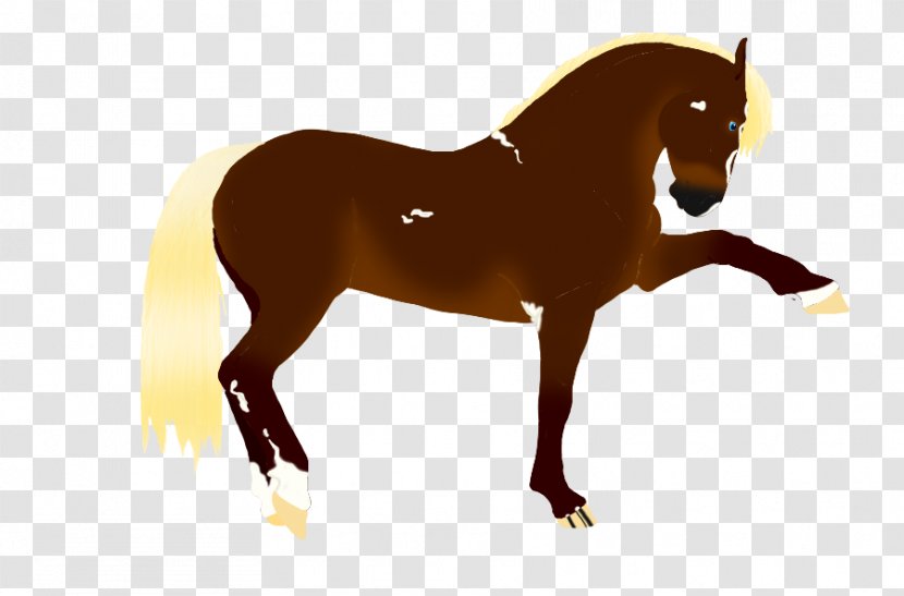 Mane Mustang Stallion Pony Mare - Rein Transparent PNG