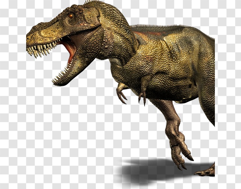 Giganotosaurus Velociraptor Late Cretaceous Carnotaurus Spinosaurus - Terrestrial Animal - Dinosaur Transparent PNG