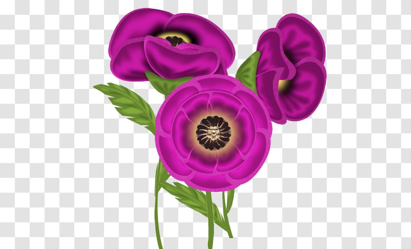 Lilac Purple Violet Internet Forum Transparent PNG