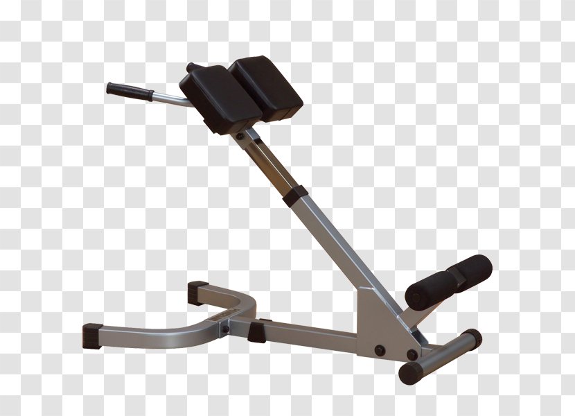 Hyperextension Roman Chair Exercise Human Back Bench - Erector Spinae Muscles - Windsurfing Transparent PNG