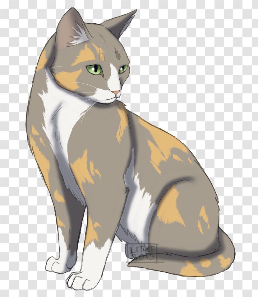 Kitten Whiskers Domestic Short-haired Cat Manx Warriors - Shorthaired Transparent PNG