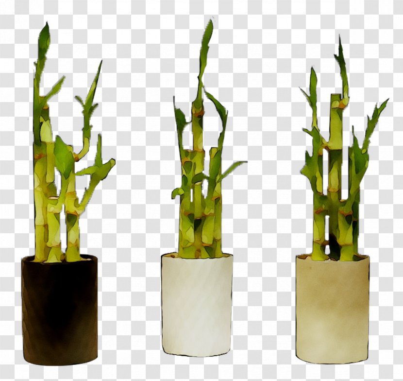 Product Design Bamboo - Flower - Flowerpot Transparent PNG