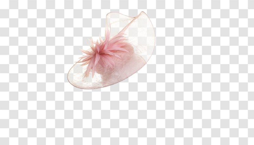 Shoe Pink M - Petal - Feather Material Transparent PNG