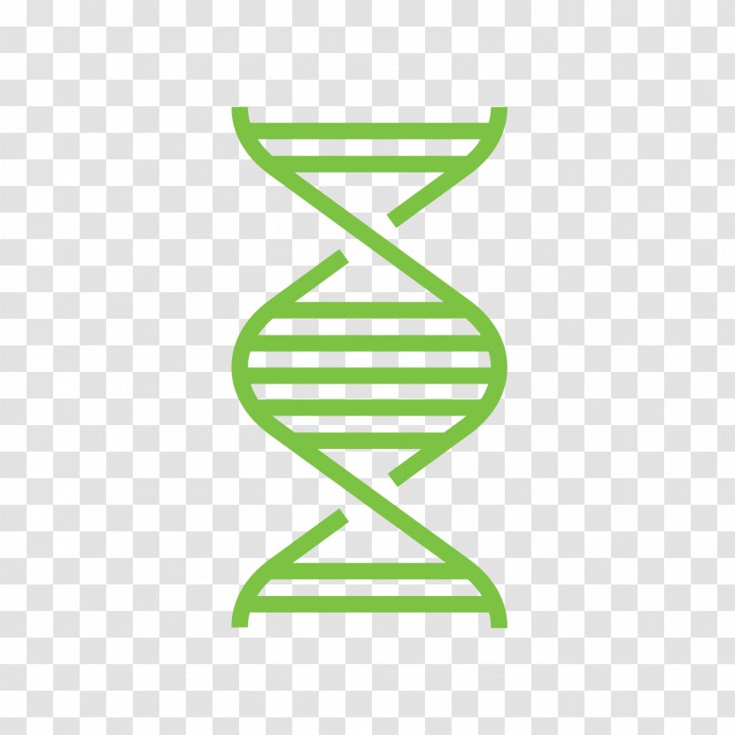 Line Genetics - Grass Transparent PNG