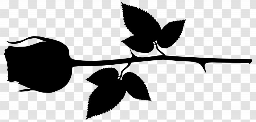 Clip Art Leaf Plant Stem Flower Silhouette - Plants Transparent PNG
