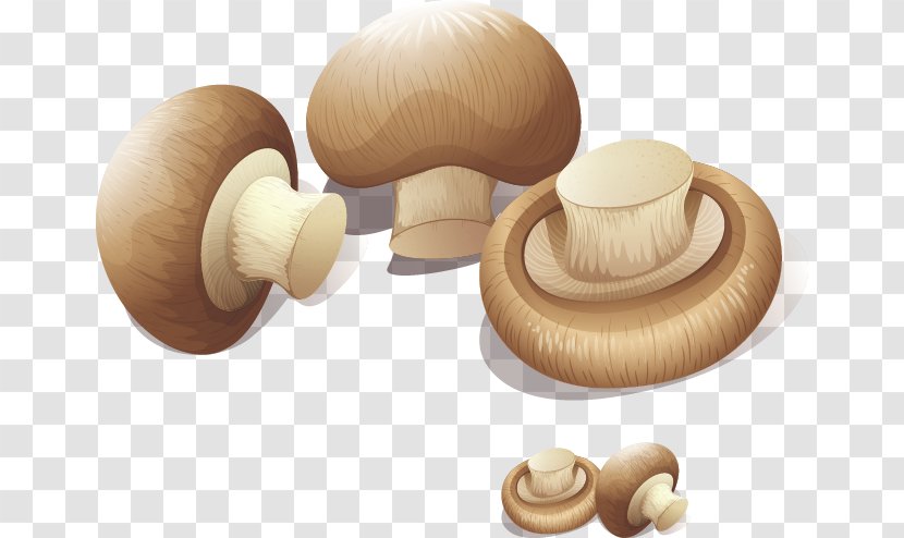 Shiitake Mushroom Cartoon - Wood - Exquisite Mushrooms And Vegetables Transparent PNG