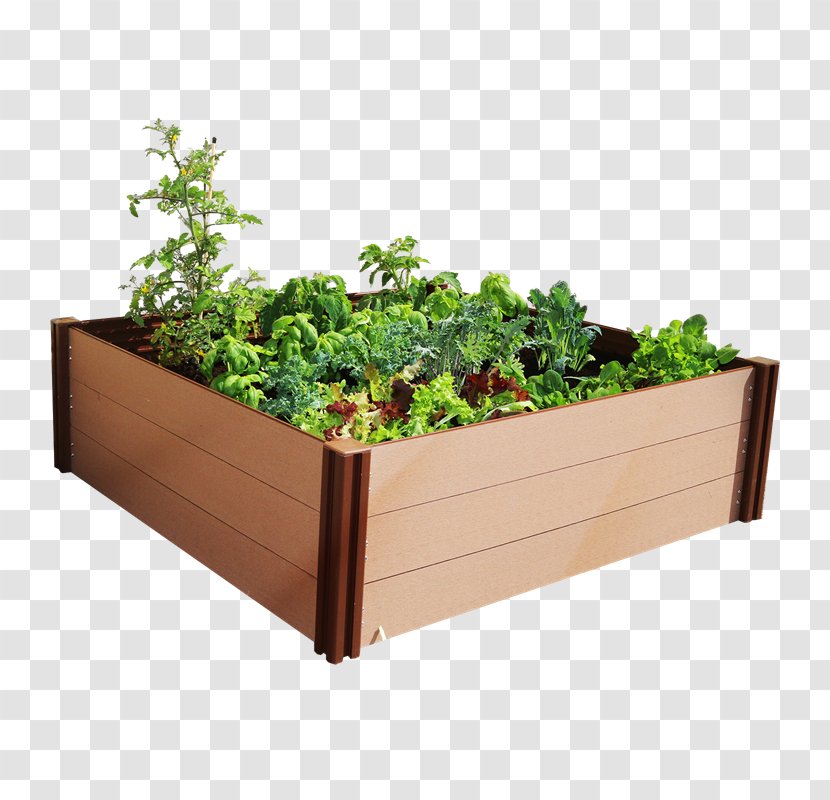 Raised-bed Gardening Garden Furniture Flowerpot - Back - Bed Transparent PNG