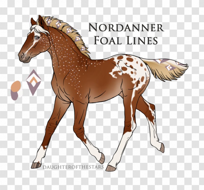 Mustang Foal Pony Stallion Colt - Horse Like Mammal Transparent PNG
