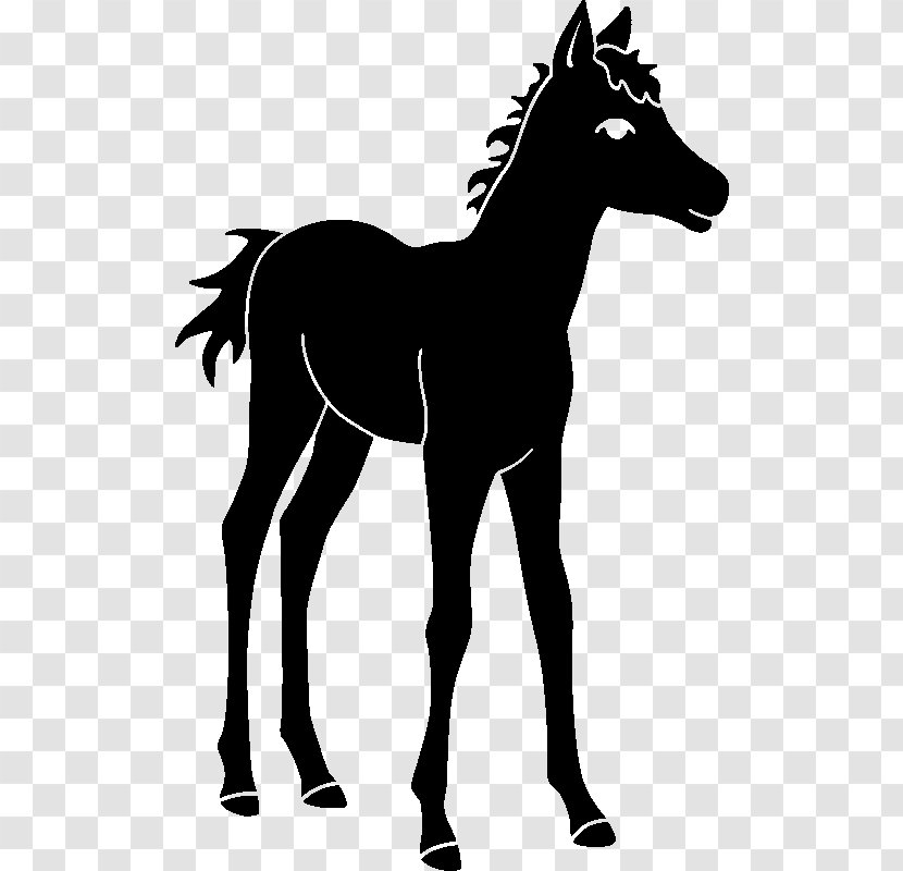 Mule Foal Stallion Colt Mare - Livestock - Mustang Transparent PNG