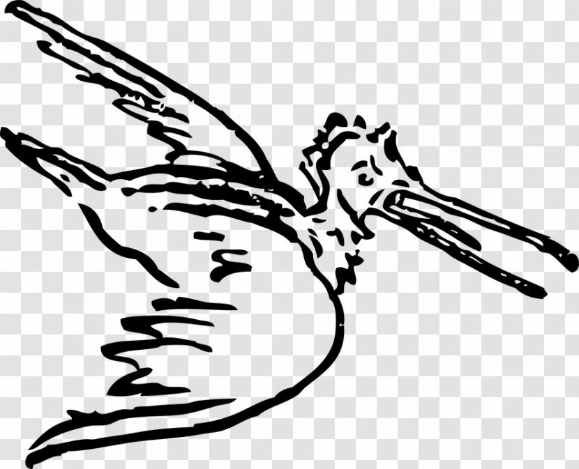 Line Art Wing Bird Coloring Book Beak Transparent PNG