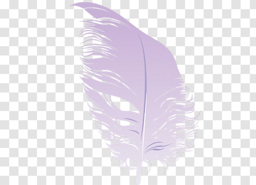 Feather - Quill - Plumas Transparent PNG