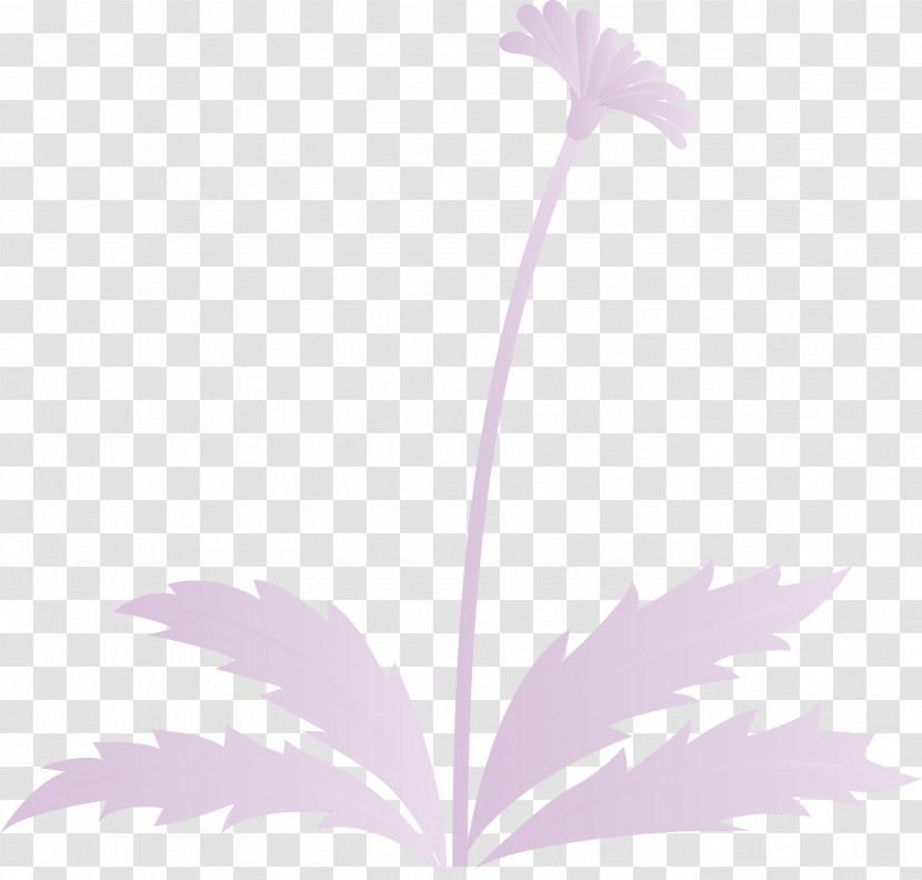 Leaf Flower Plant Plant Stem Wildflower Transparent PNG