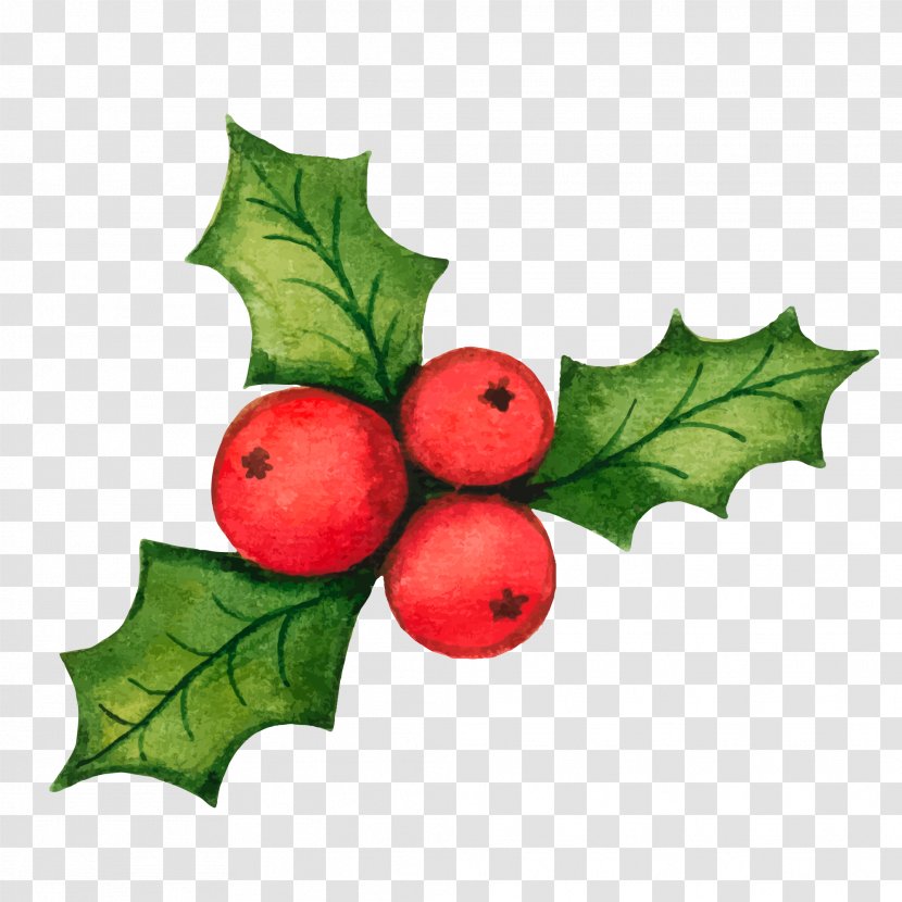 Common Holly Christmas Decoration Clip Art - Tree - Decorations Vector Material Transparent PNG