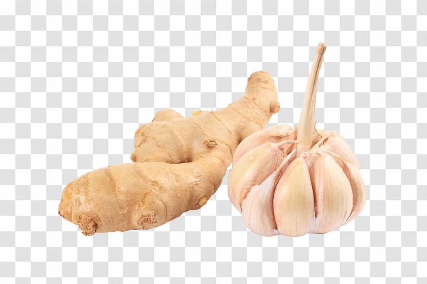 Chicken Soup Root Vegetables Garlic Ginger - Food - And Pull Material Free Transparent PNG