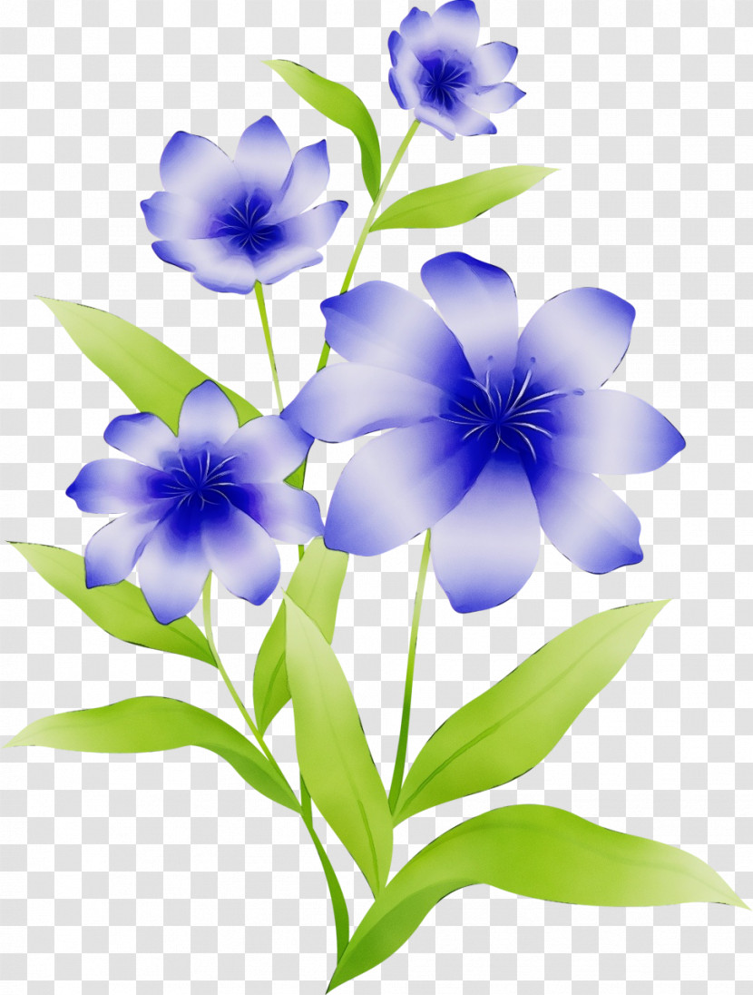 Flower Blue Plant Petal Violet Transparent PNG
