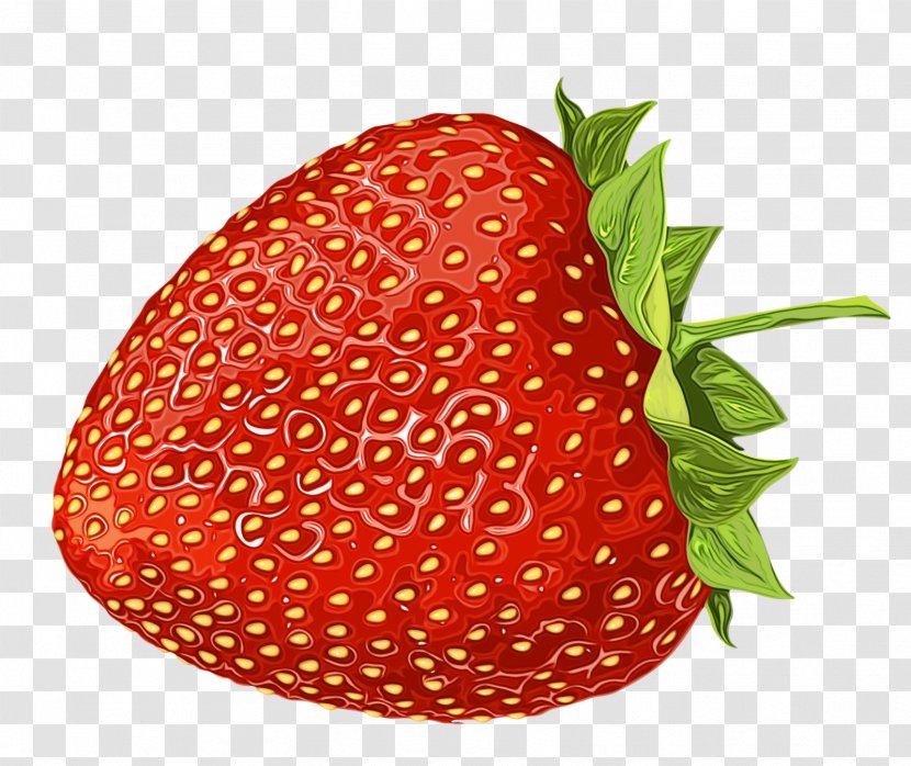 Strawberry - Watercolor - Berry Food Transparent PNG