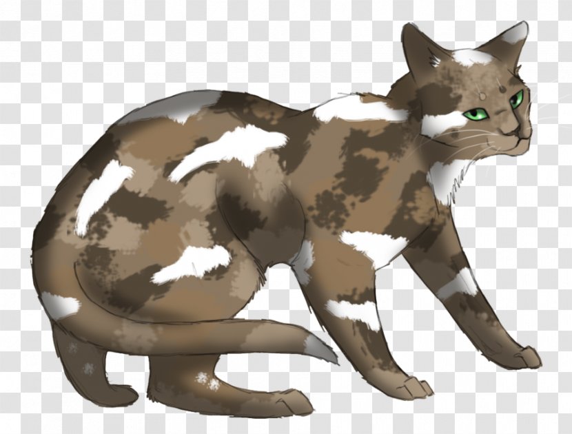 Cat Fading Echoes Night Whispers Warriors Whiskers - Hollyleaf Transparent PNG