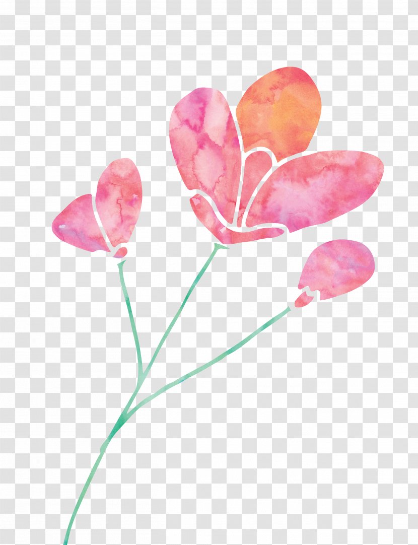 Tulip Pink Clip Art - Plant - Flowers Transparent PNG