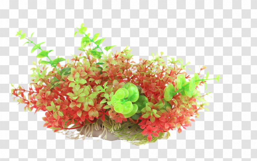 Aquarium Goldfish & Tropical Fish Icon - Plant - Red, Green And Purple Plants Prospects Grass Simulation Transparent PNG