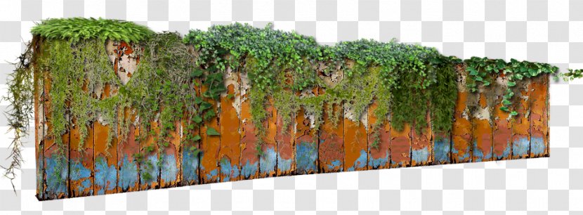 PhotoScape GIMP Wall - Vine - Muro Transparent PNG